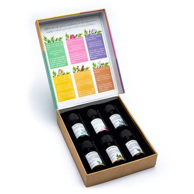 https://cdn.webshopapp.com/shops/259273/files/381303447/file.jpg