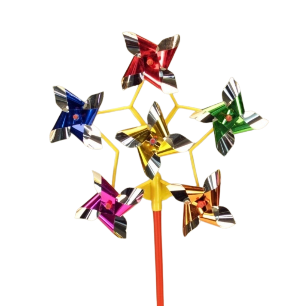 https://cdn.webshopapp.com/shops/259273/files/384158757/file.jpg