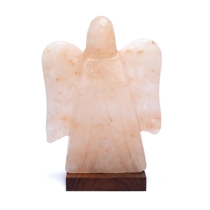 https://cdn.webshopapp.com/shops/259273/files/399575519/file.jpg