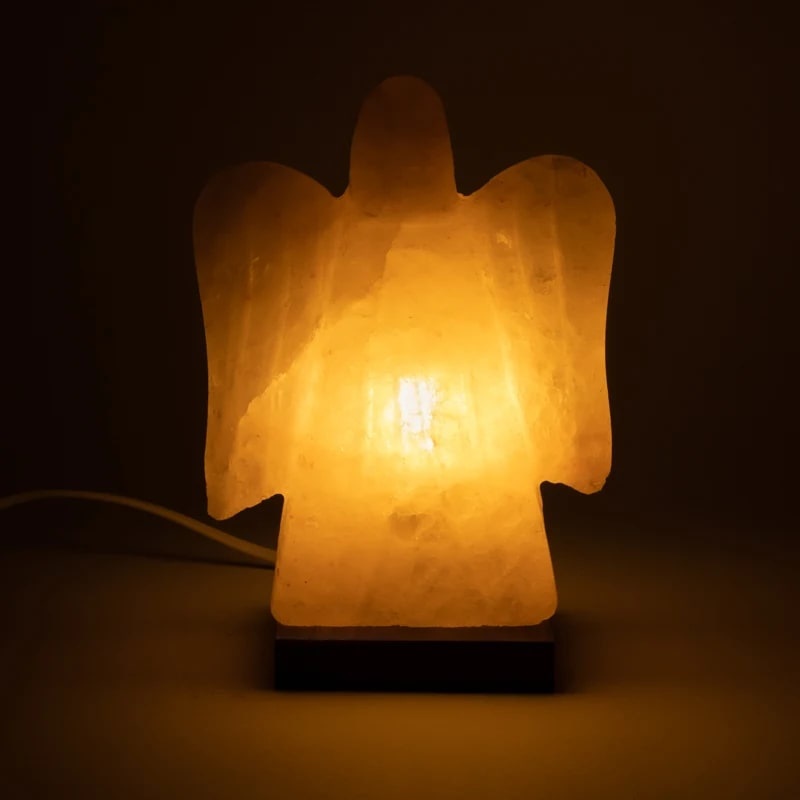 https://cdn.webshopapp.com/shops/259273/files/399575528/file.jpg