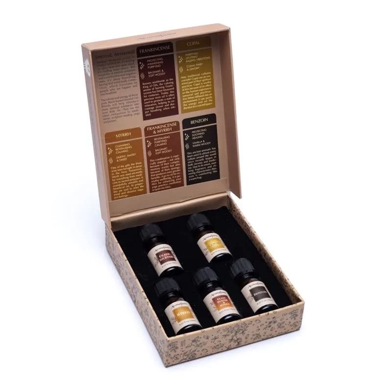 https://cdn.webshopapp.com/shops/259273/files/400087005/file.jpg