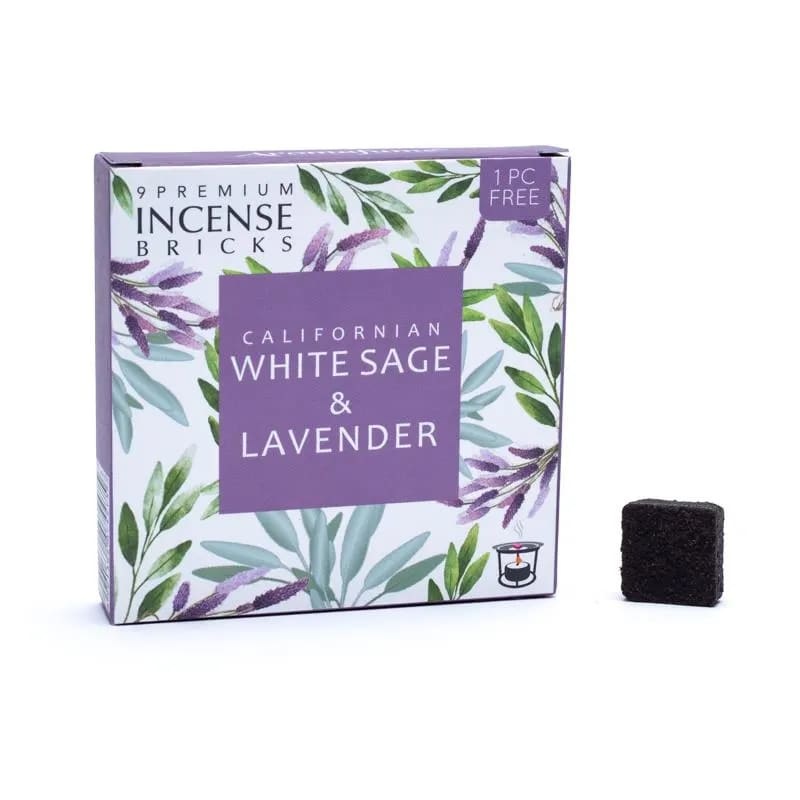 https://cdn.webshopapp.com/shops/259273/files/400087510/file.jpg