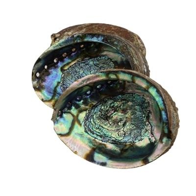 https://cdn.webshopapp.com/shops/259273/files/401608183/file.jpg