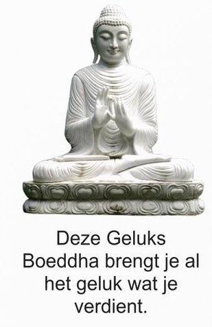 https://cdn.webshopapp.com/shops/259273/files/404510285/file.jpg