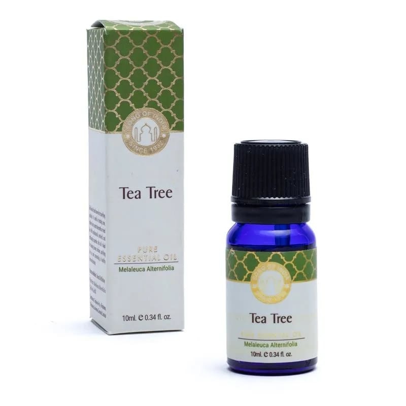 https://cdn.webshopapp.com/shops/259273/files/406452042/file.jpg