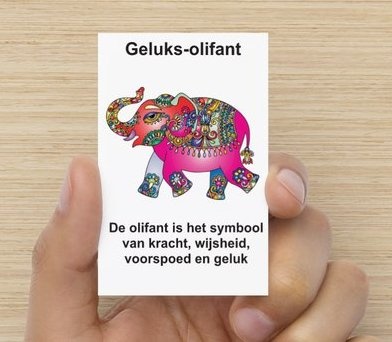 https://cdn.webshopapp.com/shops/259273/files/409152029/file.jpg