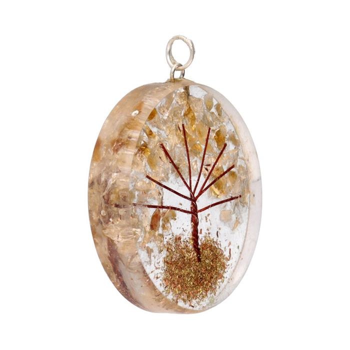 https://cdn.webshopapp.com/shops/259273/files/410405395/file.jpg