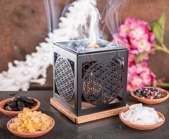 https://cdn.webshopapp.com/shops/259273/files/411185502/file.jpg