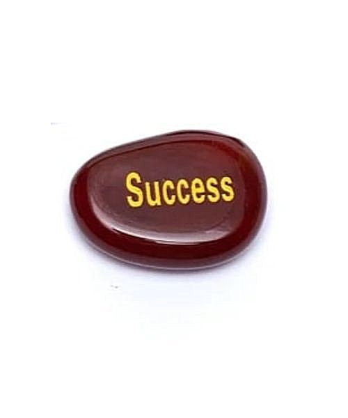 https://cdn.webshopapp.com/shops/259273/files/414730947/file.jpg