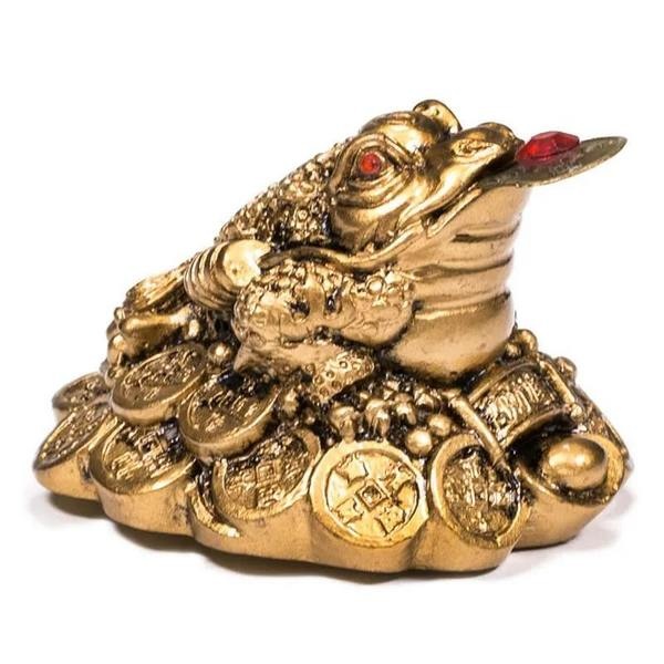 https://cdn.webshopapp.com/shops/259273/files/417445831/file.jpg