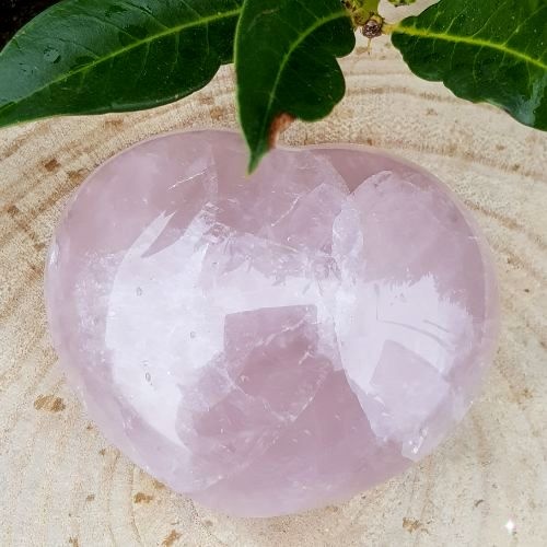 https://cdn.webshopapp.com/shops/259273/files/427106318/file.jpg