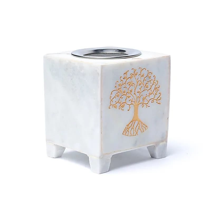 https://cdn.webshopapp.com/shops/259273/files/431404557/file.jpg