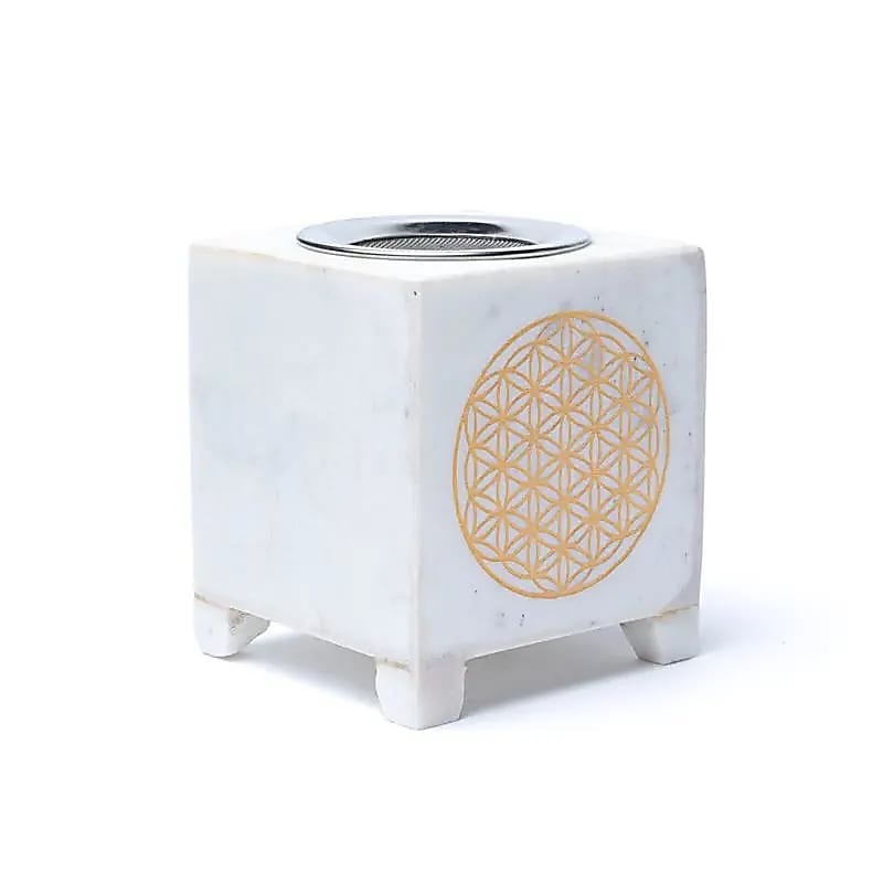 https://cdn.webshopapp.com/shops/259273/files/431404738/file.jpg