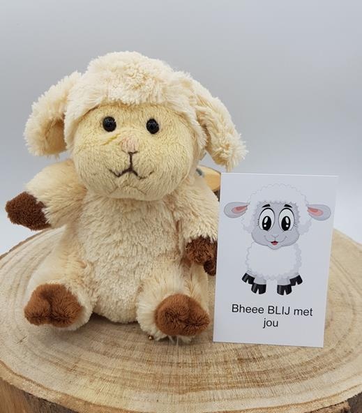 https://cdn.webshopapp.com/shops/259273/files/434312611/file.jpg
