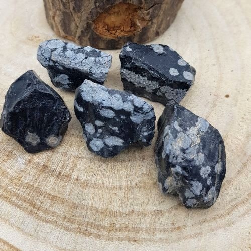 https://cdn.webshopapp.com/shops/259273/files/435042902/file.jpg