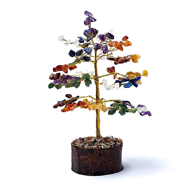 https://cdn.webshopapp.com/shops/259273/files/441809956/file.jpg
