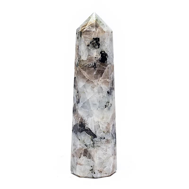 https://cdn.webshopapp.com/shops/259273/files/449360092/file.jpg