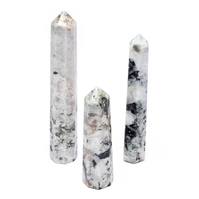 https://cdn.webshopapp.com/shops/259273/files/449360102/file.jpg