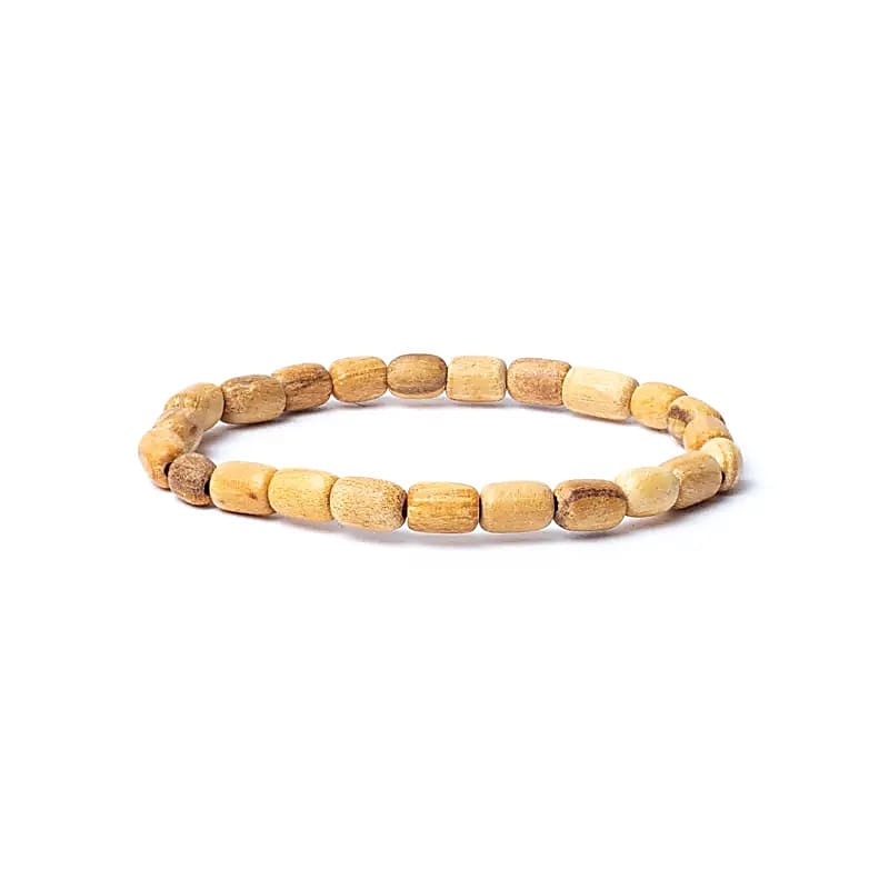 https://cdn.webshopapp.com/shops/259273/files/451698500/file.jpg