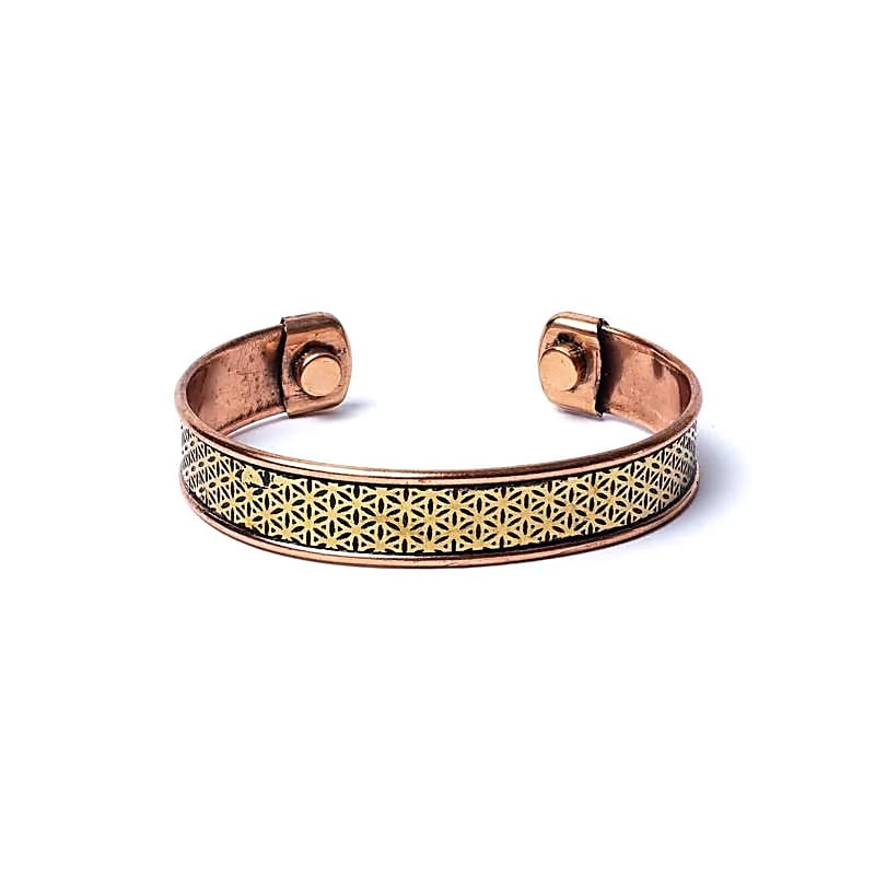 https://cdn.webshopapp.com/shops/259273/files/456642006/file.jpg