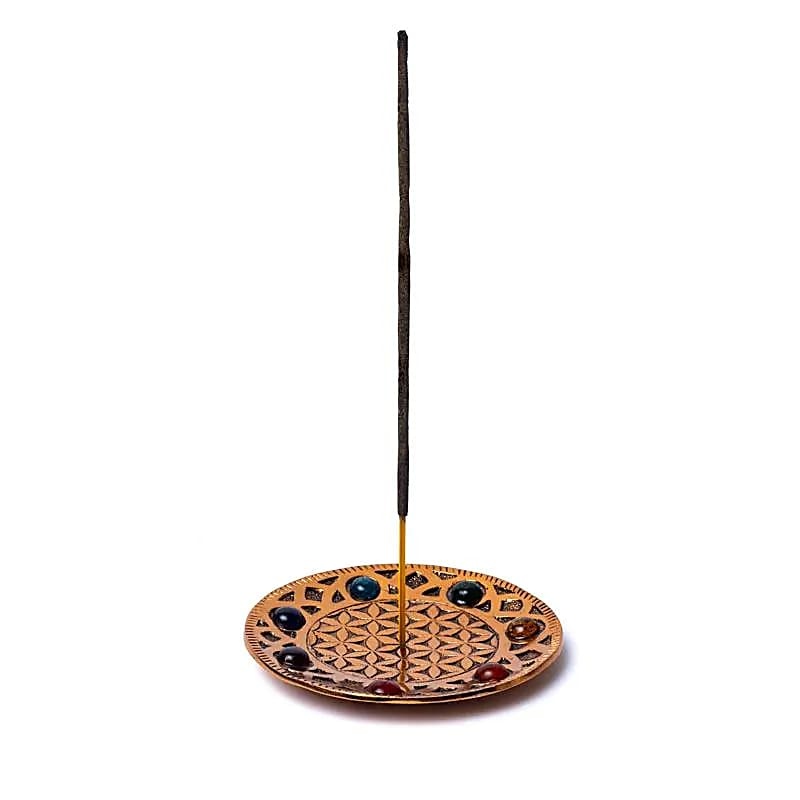 https://cdn.webshopapp.com/shops/259273/files/456642666/file.jpg
