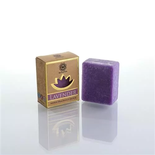 https://cdn.webshopapp.com/shops/259273/files/457834205/file.jpg