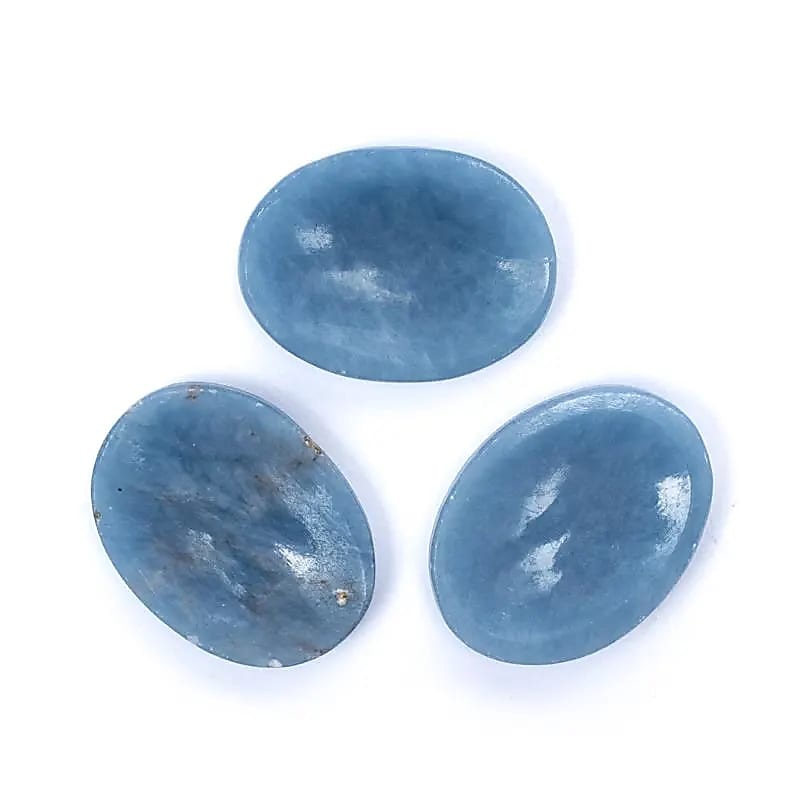 https://cdn.webshopapp.com/shops/259273/files/460254265/file.jpg