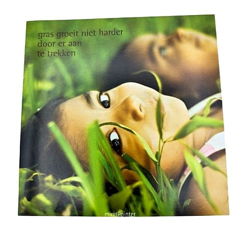 https://cdn.webshopapp.com/shops/259273/files/460652647/file.jpg