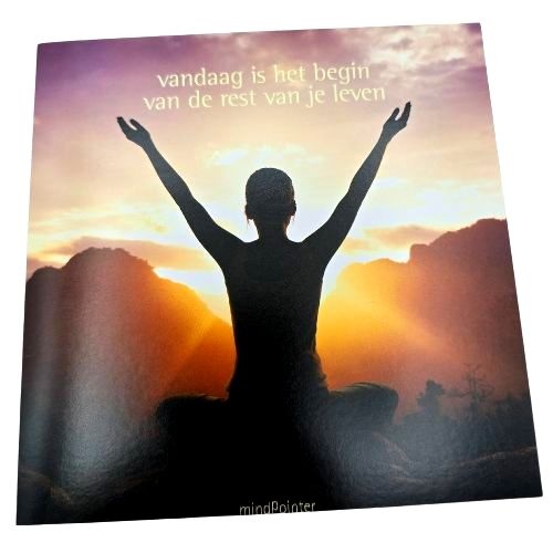 https://cdn.webshopapp.com/shops/259273/files/460740264/file.jpg