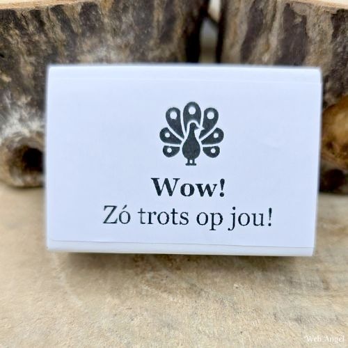 https://cdn.webshopapp.com/shops/259273/files/460830791/file.jpg