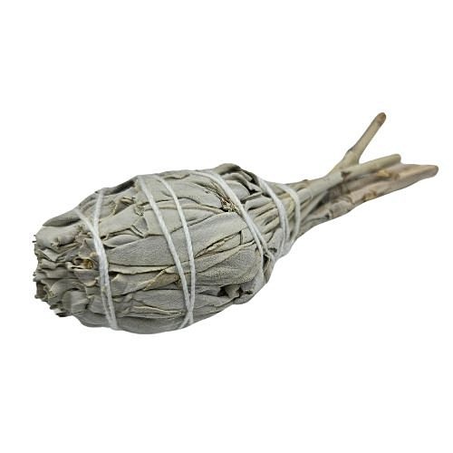 https://cdn.webshopapp.com/shops/259273/files/461180882/file.jpg