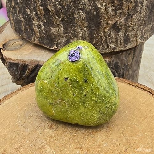 https://cdn.webshopapp.com/shops/259273/files/465493990/file.jpg