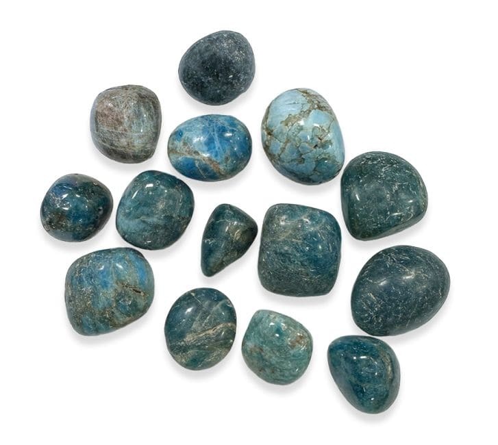 https://cdn.webshopapp.com/shops/259273/files/469815256/file.jpg