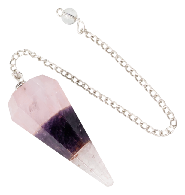 https://cdn.webshopapp.com/shops/259273/files/469869968/file.jpg
