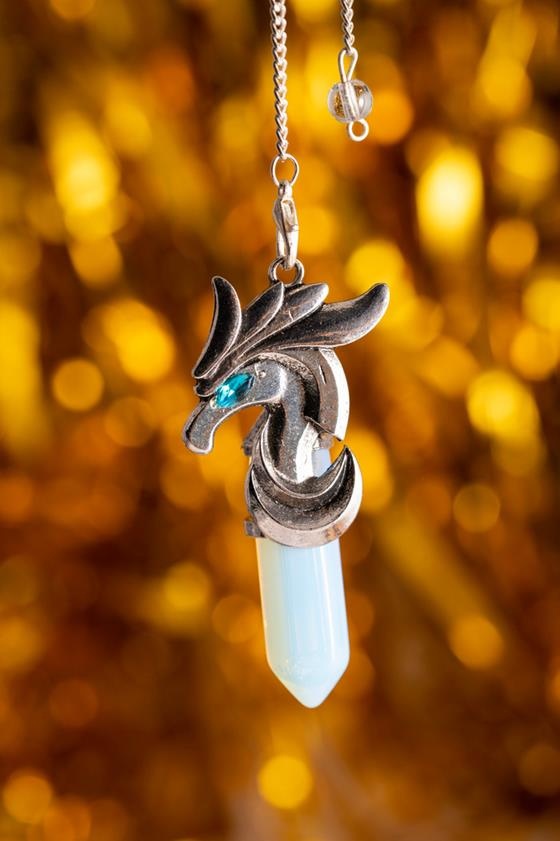 https://cdn.webshopapp.com/shops/259273/files/470750223/file.jpg
