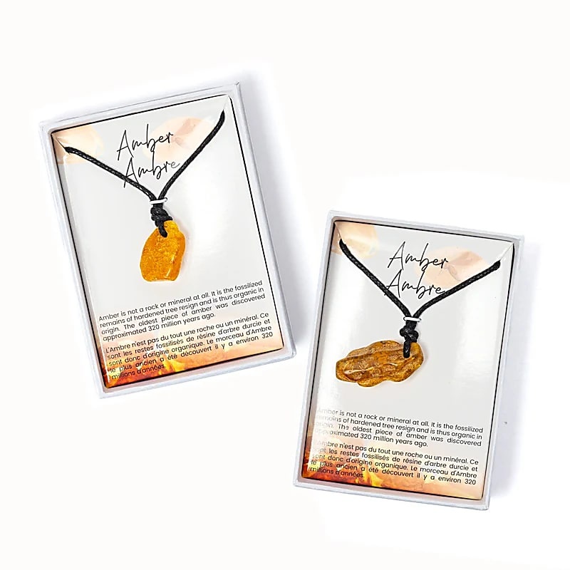 https://cdn.webshopapp.com/shops/259273/files/471224999/file.jpg