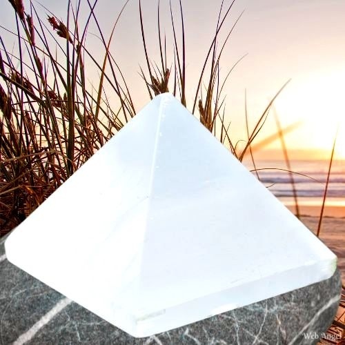 https://cdn.webshopapp.com/shops/259273/files/472218357/file.jpg
