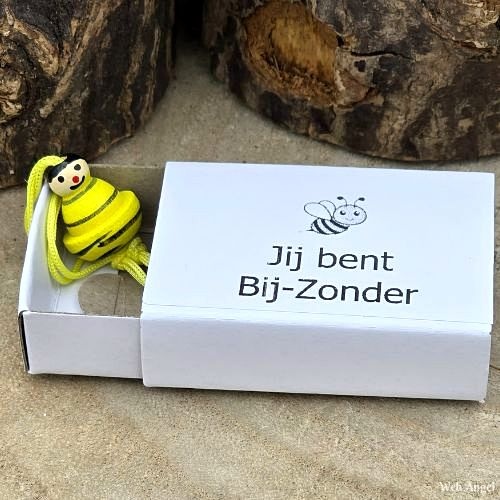 https://cdn.webshopapp.com/shops/259273/files/472632056/file.jpg