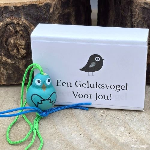 https://cdn.webshopapp.com/shops/259273/files/472636859/file.jpg