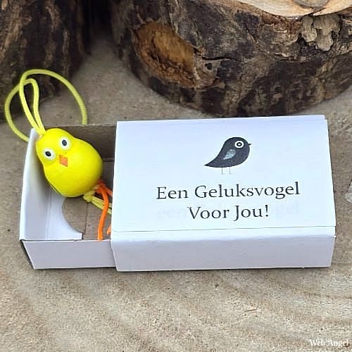 https://cdn.webshopapp.com/shops/259273/files/472636941/file.jpg