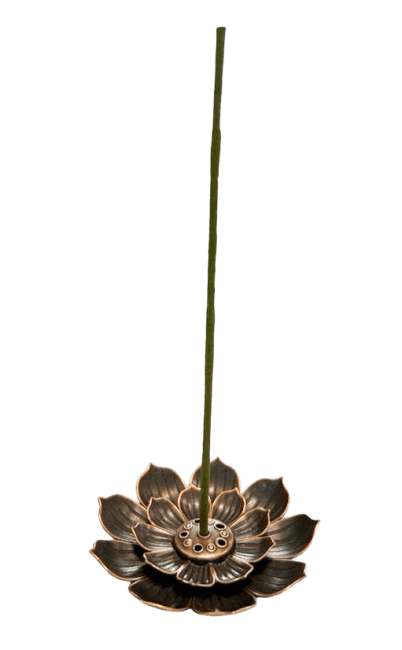 https://cdn.webshopapp.com/shops/259273/files/473670154/file.jpg
