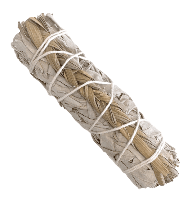 https://cdn.webshopapp.com/shops/259273/files/476448992/file.jpg