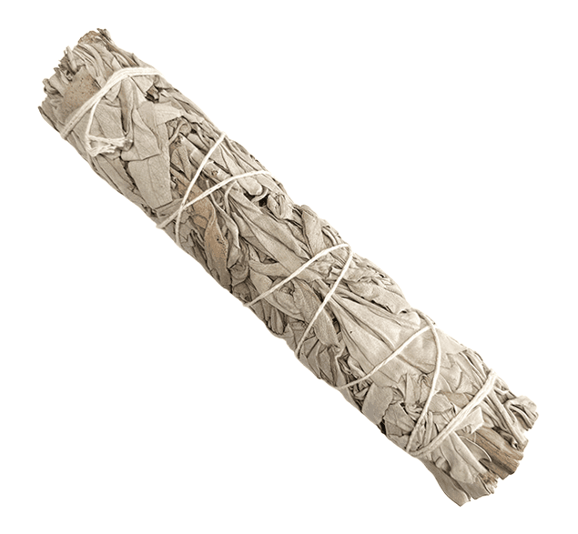 https://cdn.webshopapp.com/shops/259273/files/476686013/file.jpg