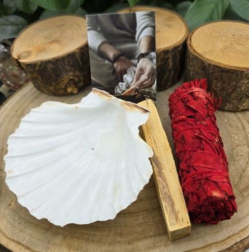 https://cdn.webshopapp.com/shops/259273/files/476952500/file.jpg