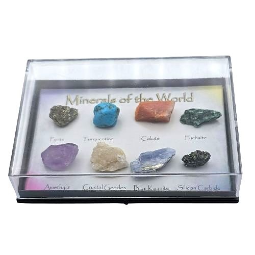 https://cdn.webshopapp.com/shops/259273/files/478061215/file.jpg