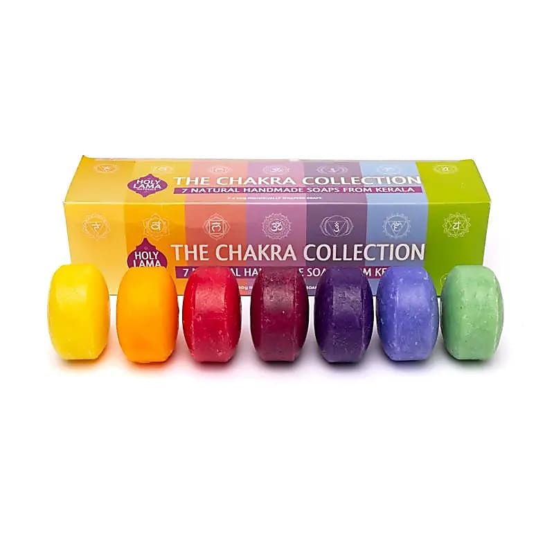 https://cdn.webshopapp.com/shops/259273/files/478856672/file.jpg
