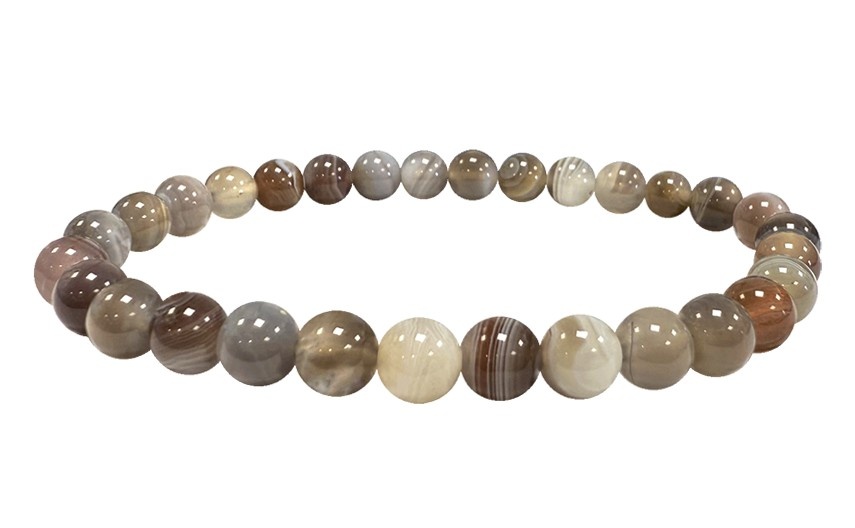 https://cdn.webshopapp.com/shops/259273/files/480164907/file.jpg