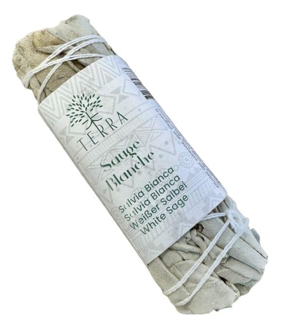 https://cdn.webshopapp.com/shops/259273/files/480637664/file.jpg
