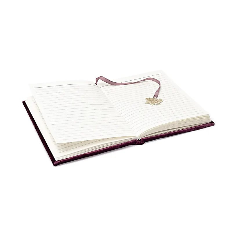 https://cdn.webshopapp.com/shops/259273/files/495752545/file.jpg