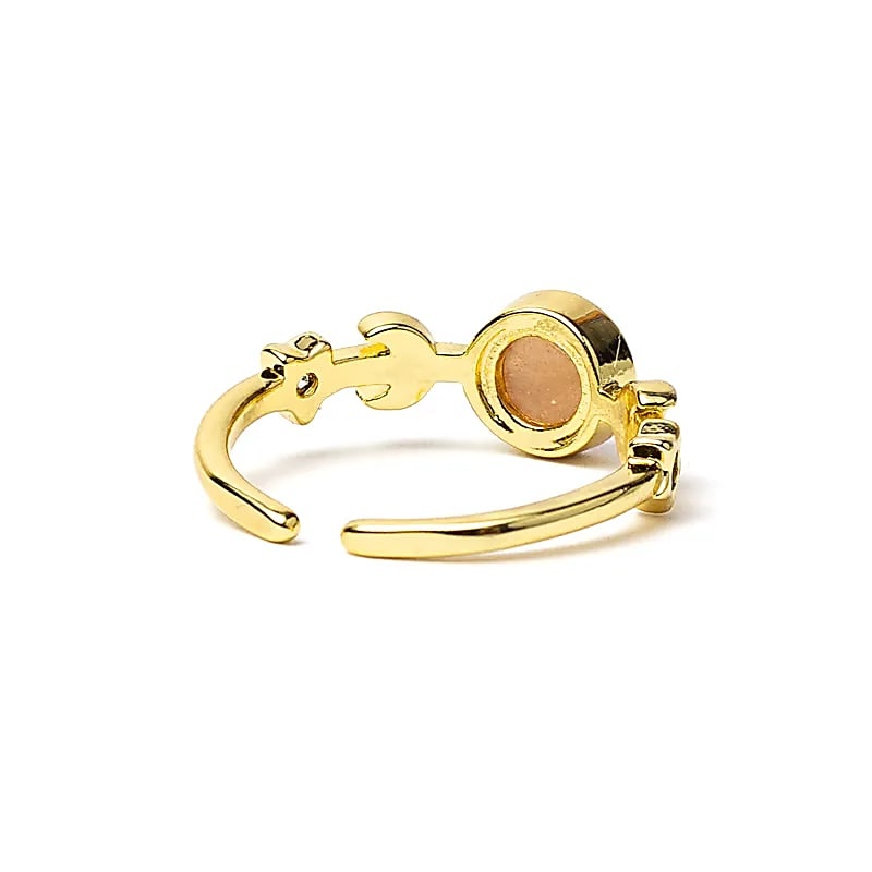 https://cdn.webshopapp.com/shops/259273/files/495753467/file.jpg